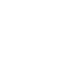 ОИЯИ Контакты