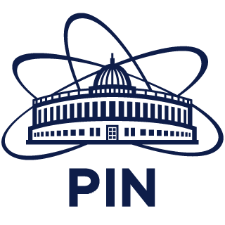 PIN JINR